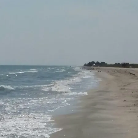 Vadu Cazare בית הארחה 3*