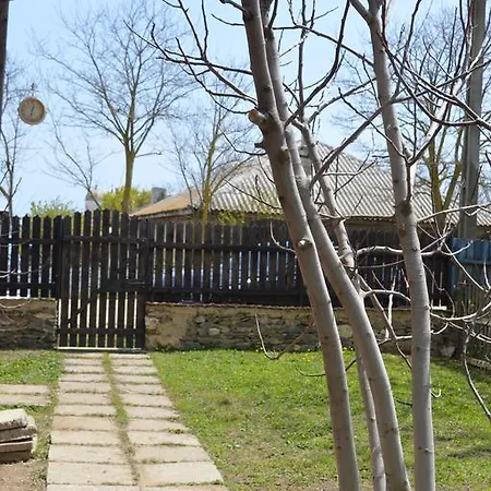 Vadu Cazare バドゥ