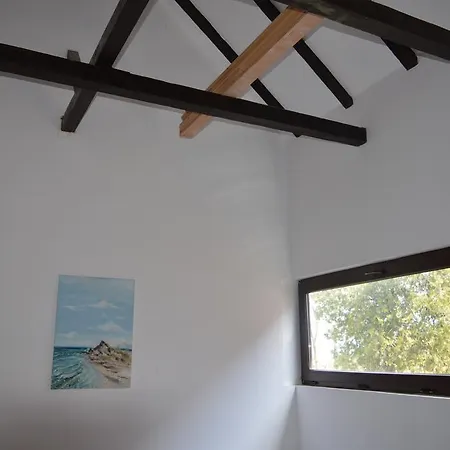 Vadu Cazare ゲストハウス