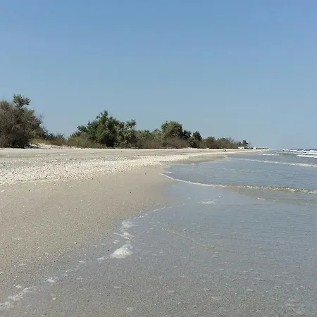 Casa de hóspedes Vadu Cazare Vadu
