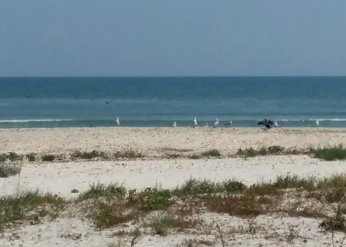 Pensionat Vadu Cazare Vadu