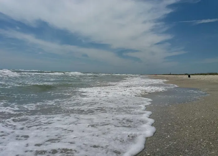 Vadu Cazare Guest house Vadu