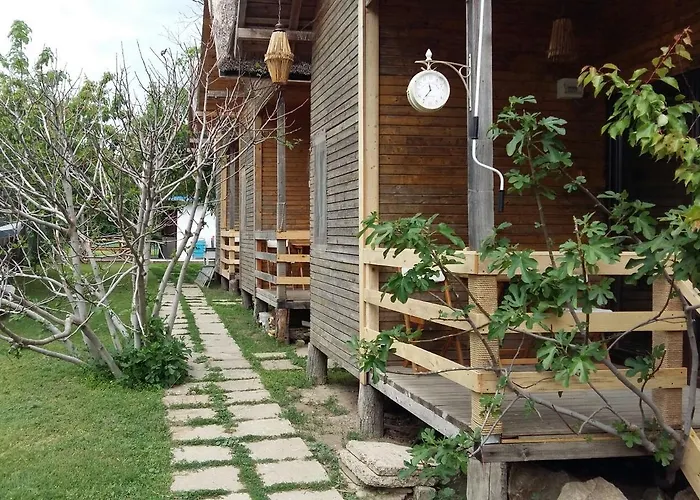 Vadu Cazare Pensionat 3*