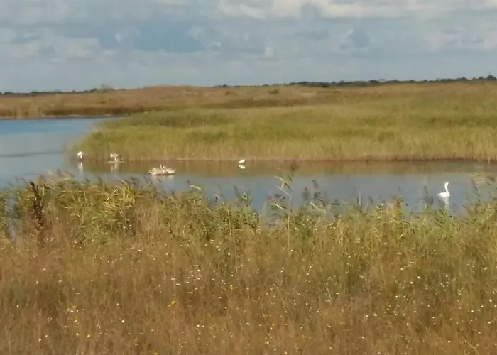 Vadu Cazare Pensionat