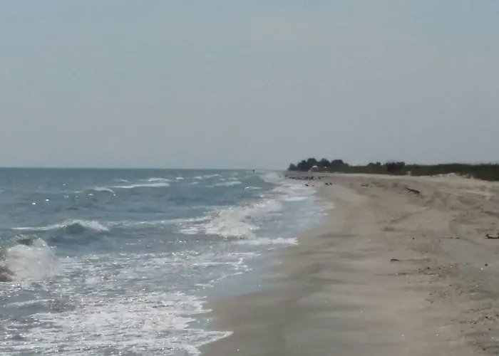 Vadu Cazare Pensionat 3*